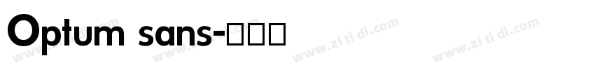 Optum sans字体转换